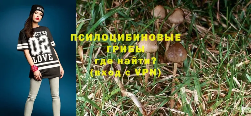 Галлюциногенные грибы MAGIC MUSHROOMS  как найти   Весьегонск 